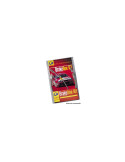KIT 2 FLEXIBLES AVIA  AVANT RENAULT CLIO 2 RS ETRIERS BREMBO CLIO 3 RS