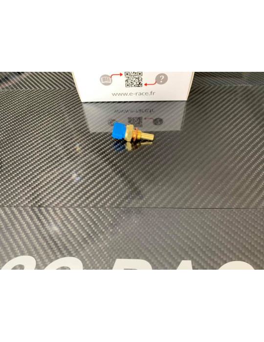 Sonde de température d'eau / d'huile pour calculateur E-RACE Black