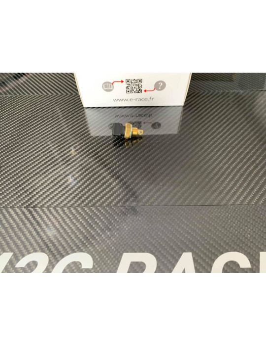Sonde de température d'air pour calculateur E-RACE Black