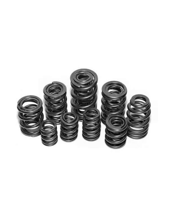 RESSORT DE SOUPAPE CAT CAMS PEUGEOT/CITROEN MOTEUR XU5J/XU9J2/XU9J4