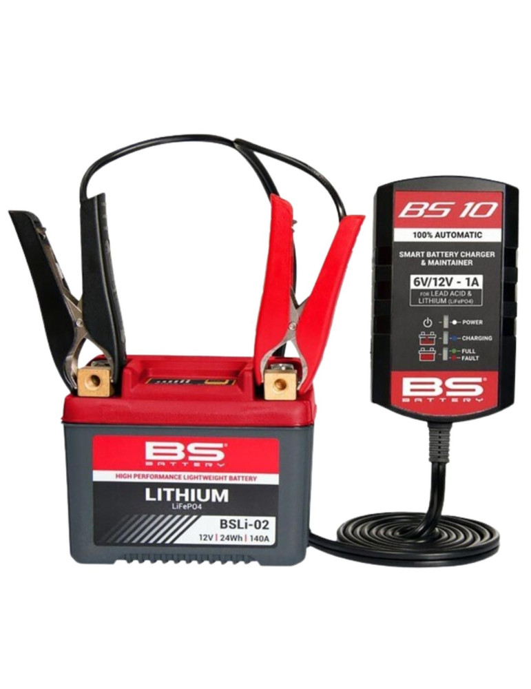 Chargeur de batterie BS Battery BS10